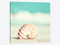 Canvas Art Picture - Nautilus Z663893