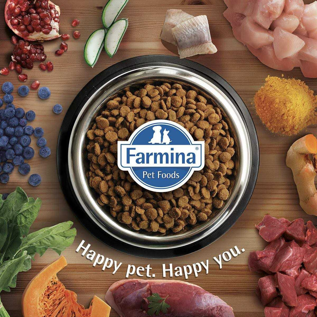 Chicken & Pomegranate Cat Dry Food F242