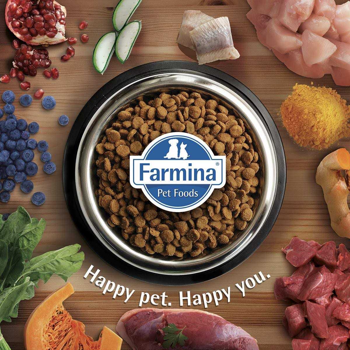Chicken & Pomegranate Cat Dry Food F242