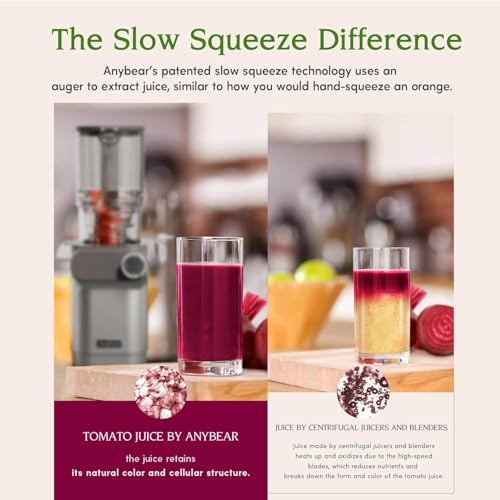 Cold Press Juicer, 200W Masticating Juicer with 2 Auger, Tritan Materials P6405