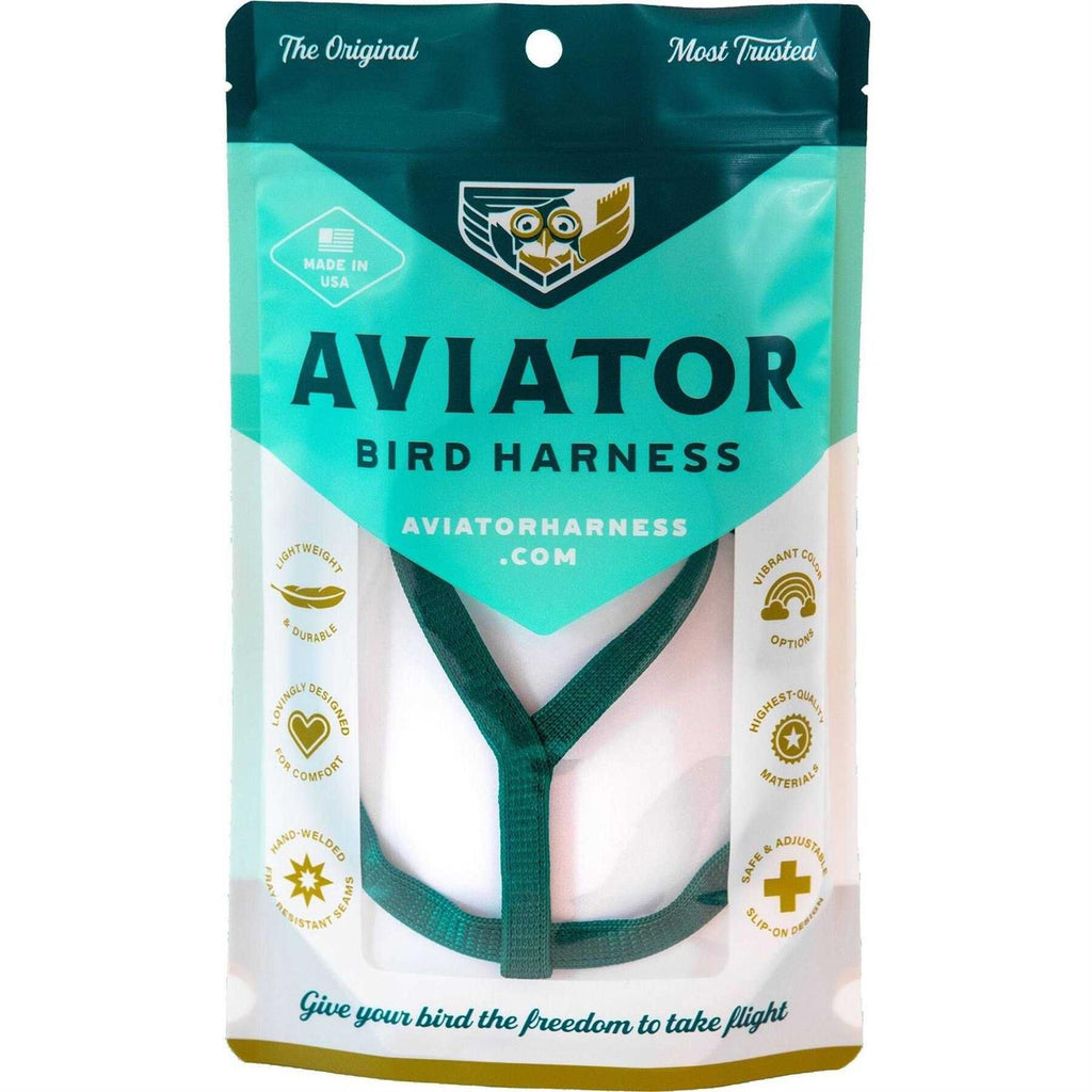 Bird Harness and Leash W615730