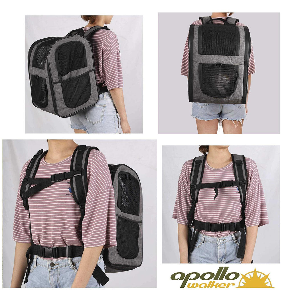 Pet Carrier Backpack for Cats and Dogs X6286