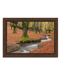 Framed Photograph Print P466932