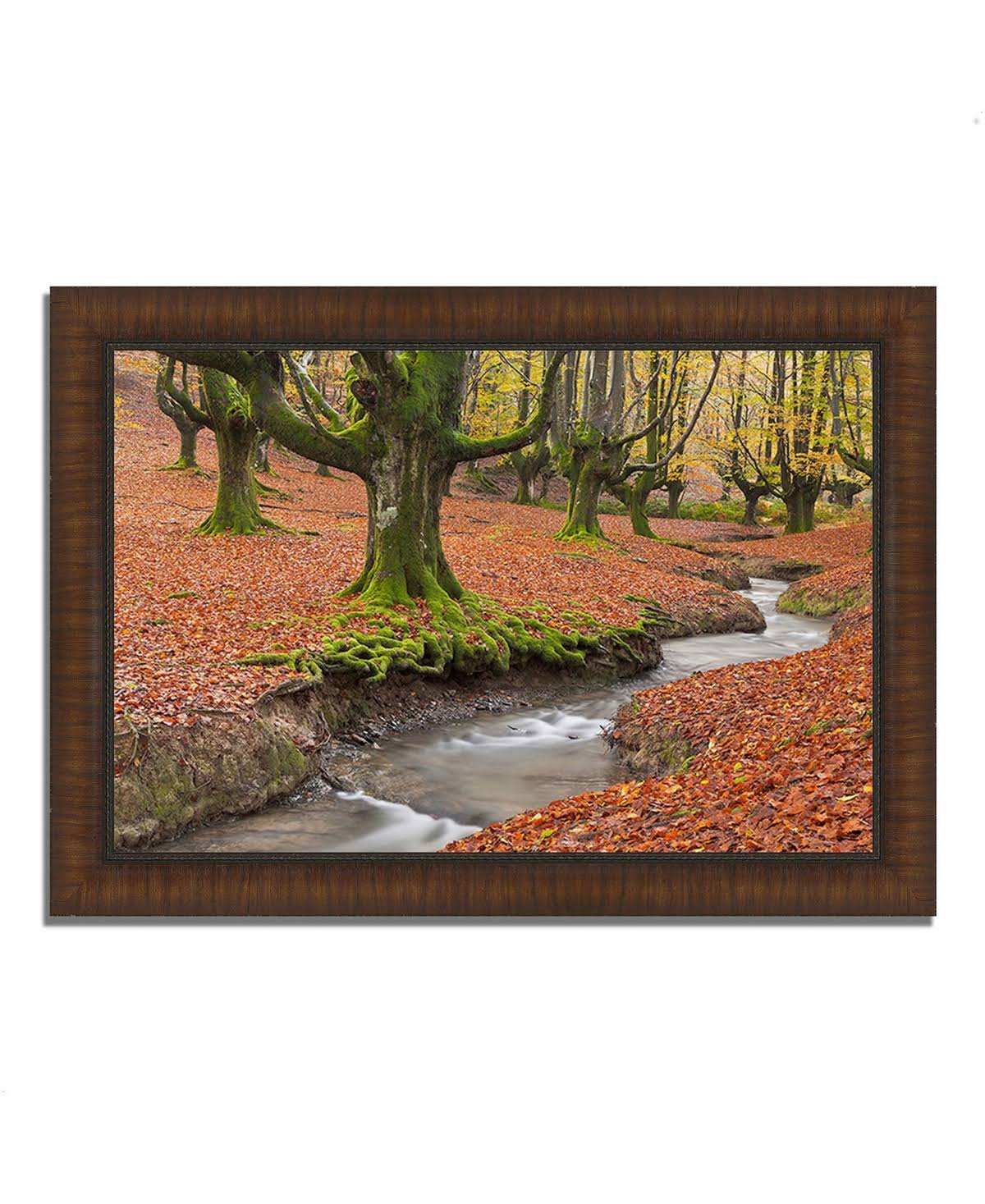 Framed Photograph Print P466932