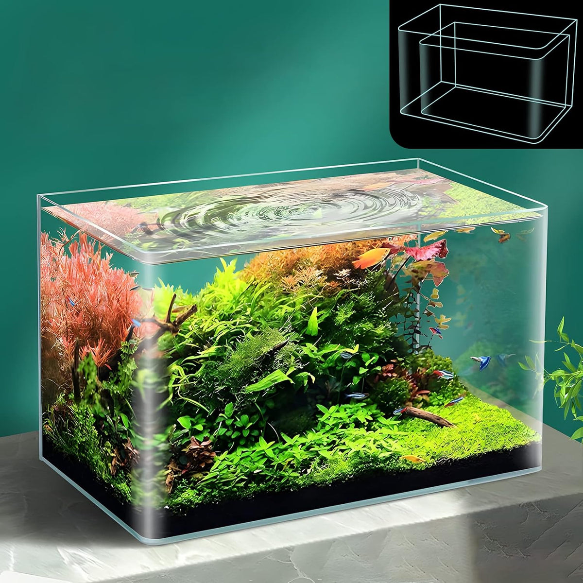2 Pack Rimless Small Fish Tank Q2831