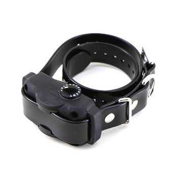 No Bark Collar Y351438