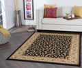 Black 8x10 Transitional Area Rug B2056