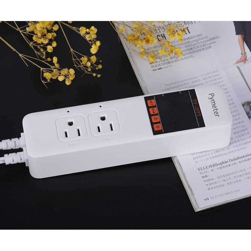 Digital Temperature Controller Dual Probe Thermostat Outlet Y200