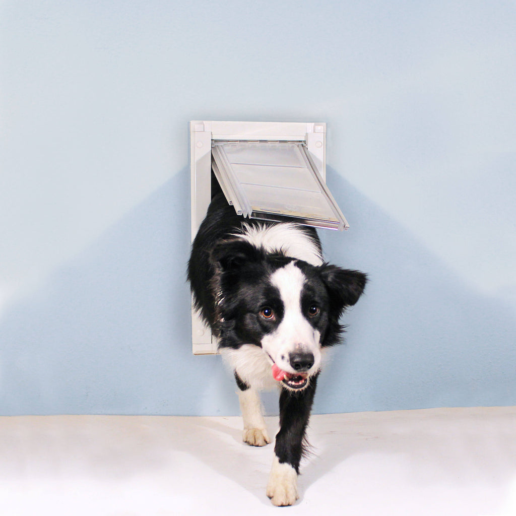 White Wall Mount Pet Door Medium Single Flap R415
