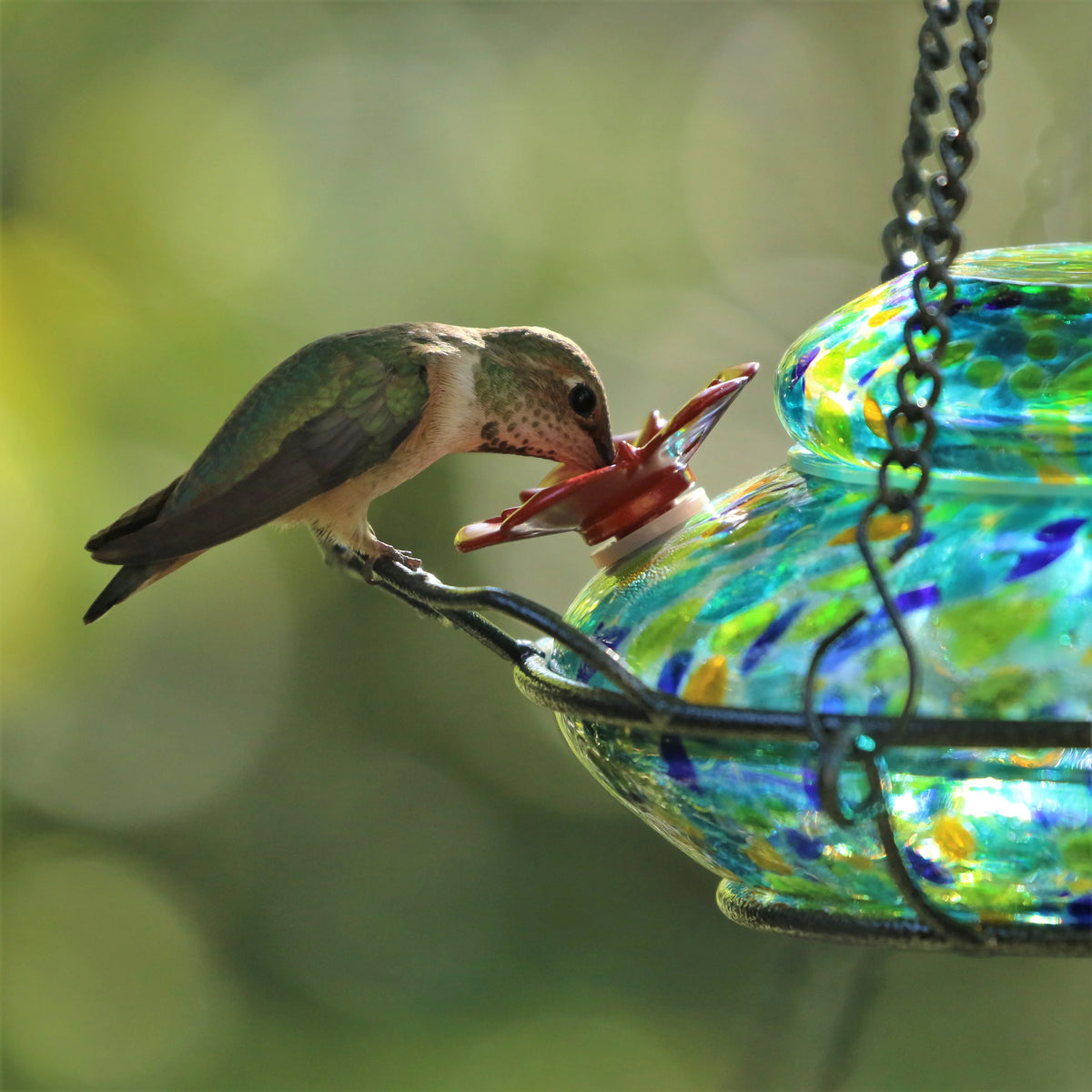 Artisan Glass Solar-Powered Hummingbird Feeder 16 oz F5686