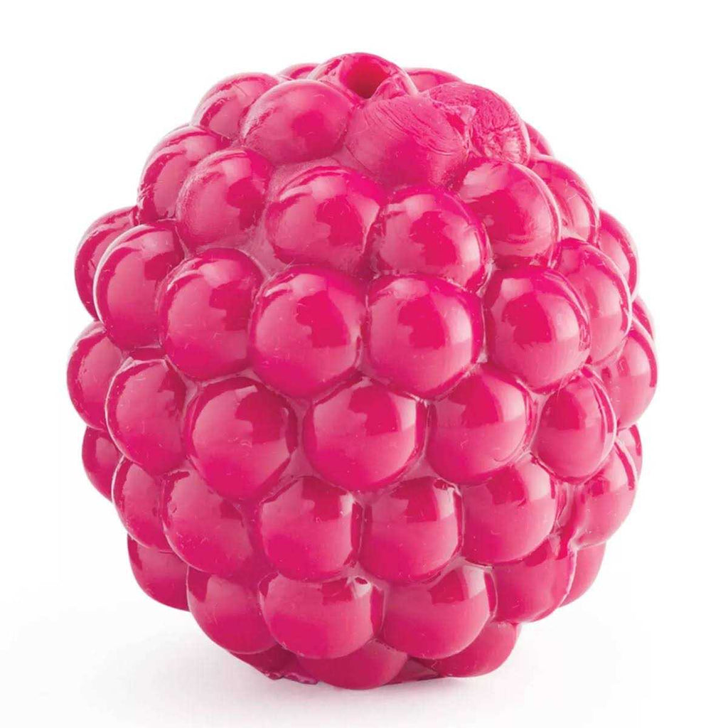 Orbee-Tuff Dog Toy B922
