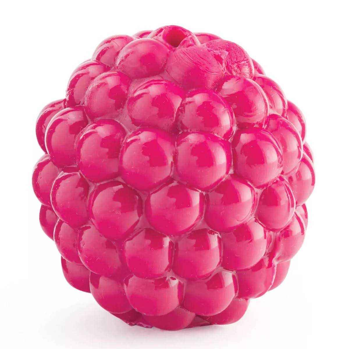 Orbee-Tuff Dog Toy B922