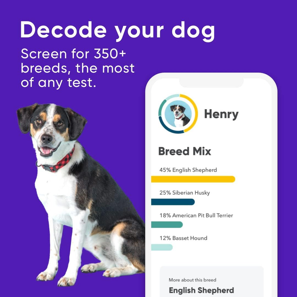 Breed Identification Kit Dog DNA Test G25330