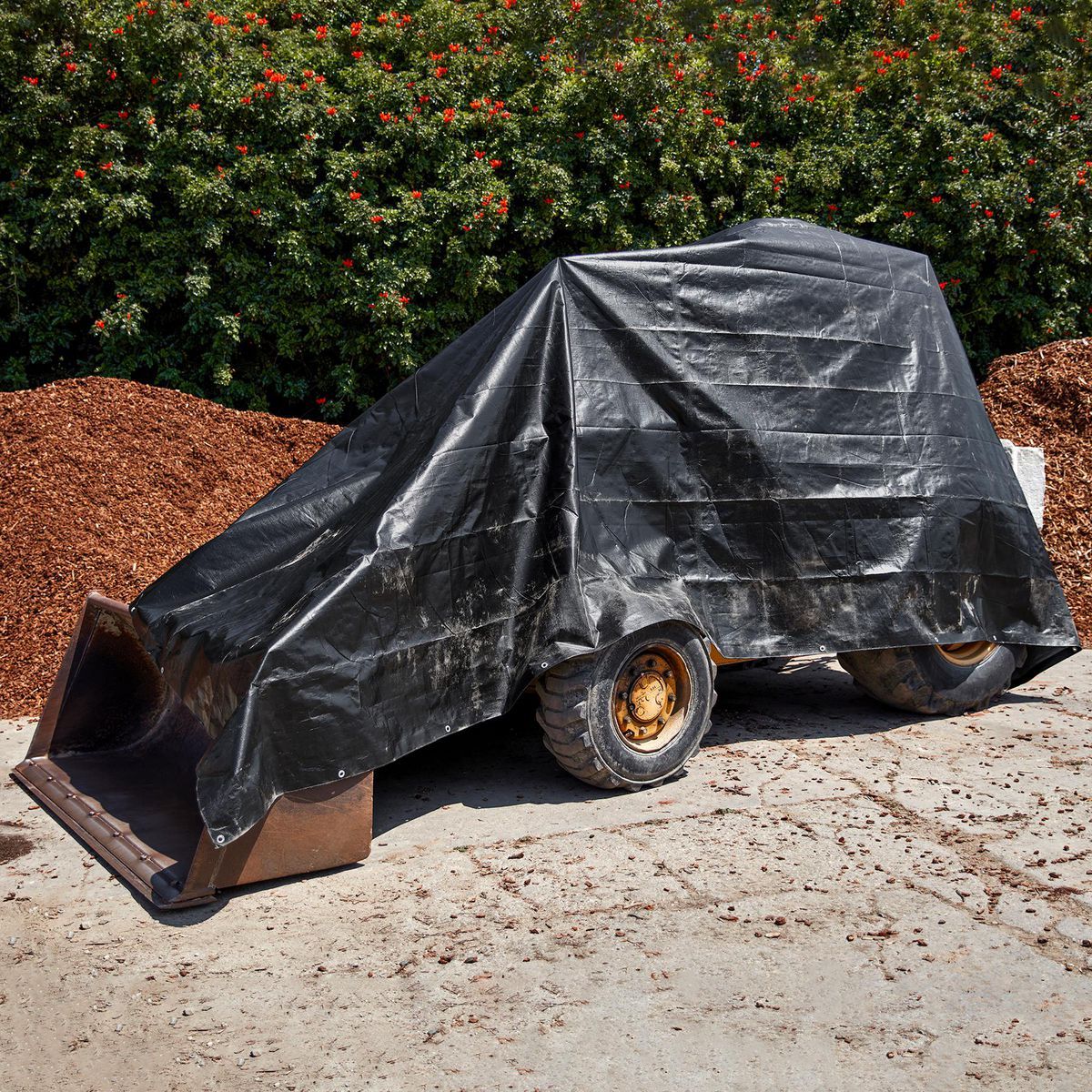 16 ft. x 20 ft. Weather-Resistant Tarp M5563