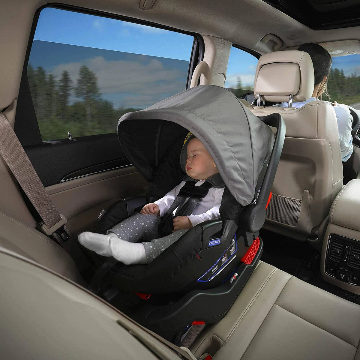 Gris Infant Car Seat P73274