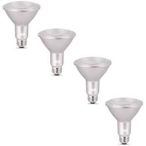 75-Watt Equivalent PAR30 Dimmable LED Flood Light Bulb Daylight K30247