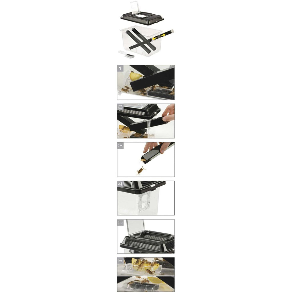 Cricket Pen F916306