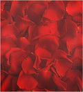Red Rose Dishwasher Magnet Cover, 23 x 26 Inch S992515
