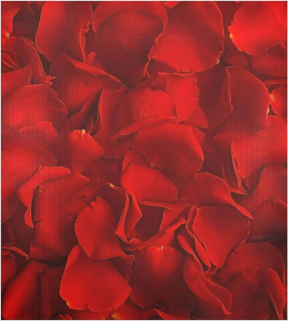 Red Rose Dishwasher Magnet Cover, 23 x 26 Inch S992515