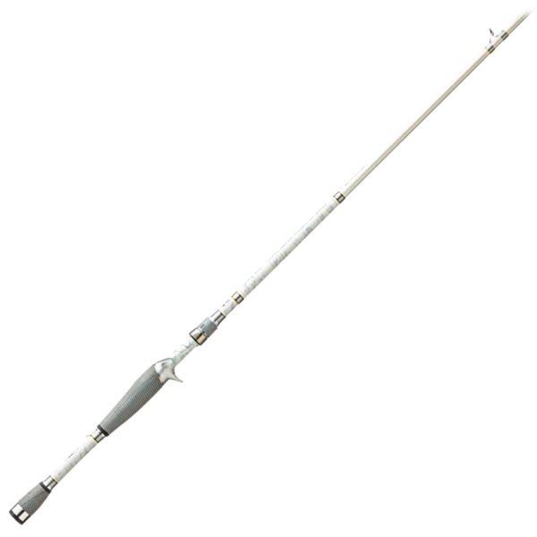 Baitcast Rod and Reel Combo T878483