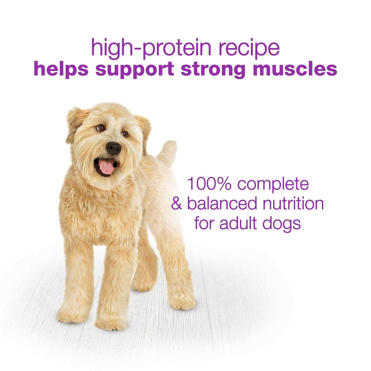 Chopped Blends Wet Dog Food U5011