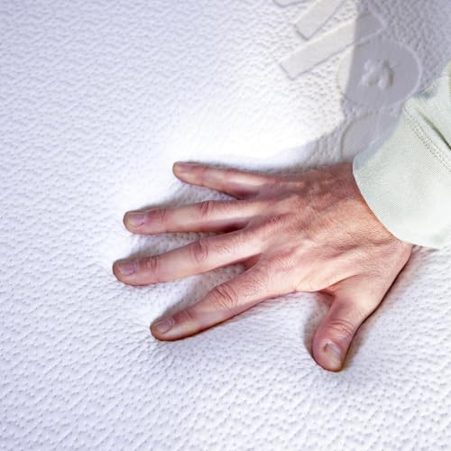 Queen Size Memory Foam Mattress T750