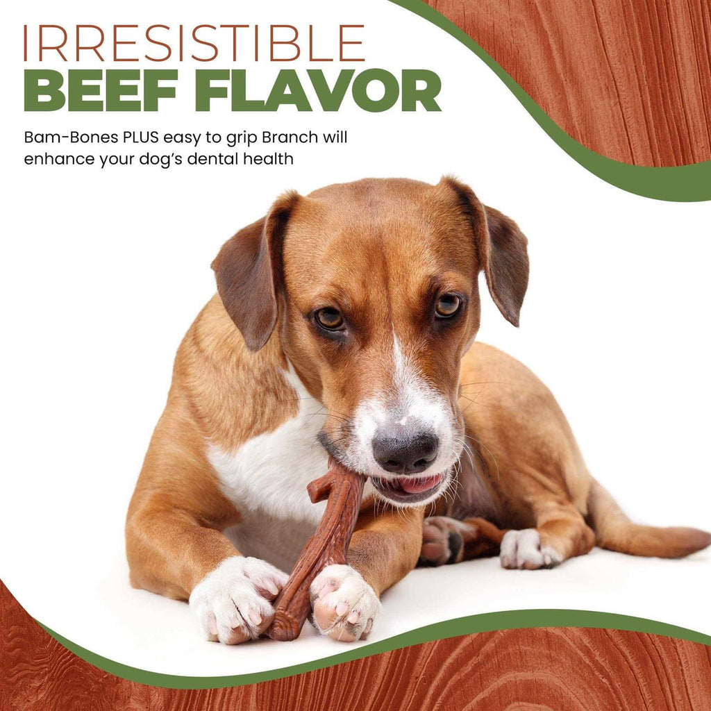 Branch Beef Dog Toy I77151