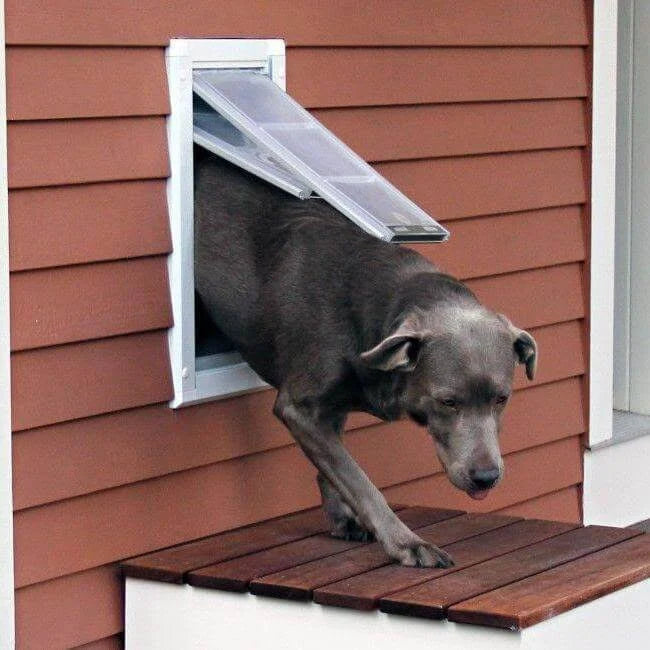 White Wall Mount Pet Door Medium Single Flap R415