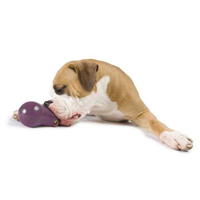 Orbee-Tuff Dog Toy B922