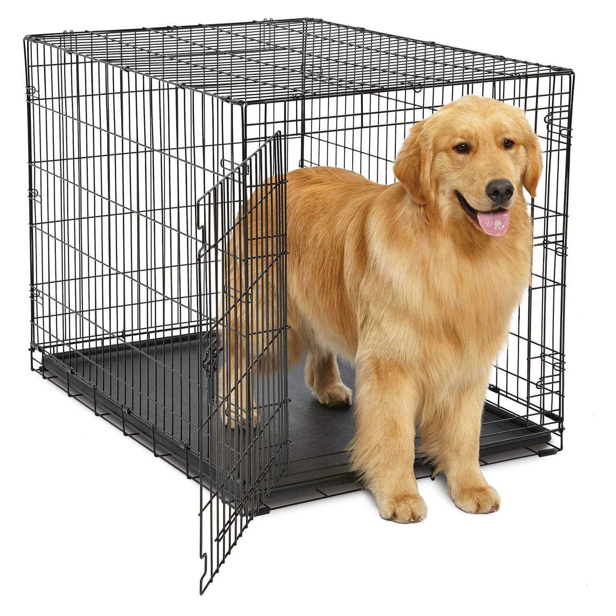 Single-Door Dog Crate C3593