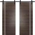 Double Barn Door 36 x 80 inches with Frosted Glass A536986