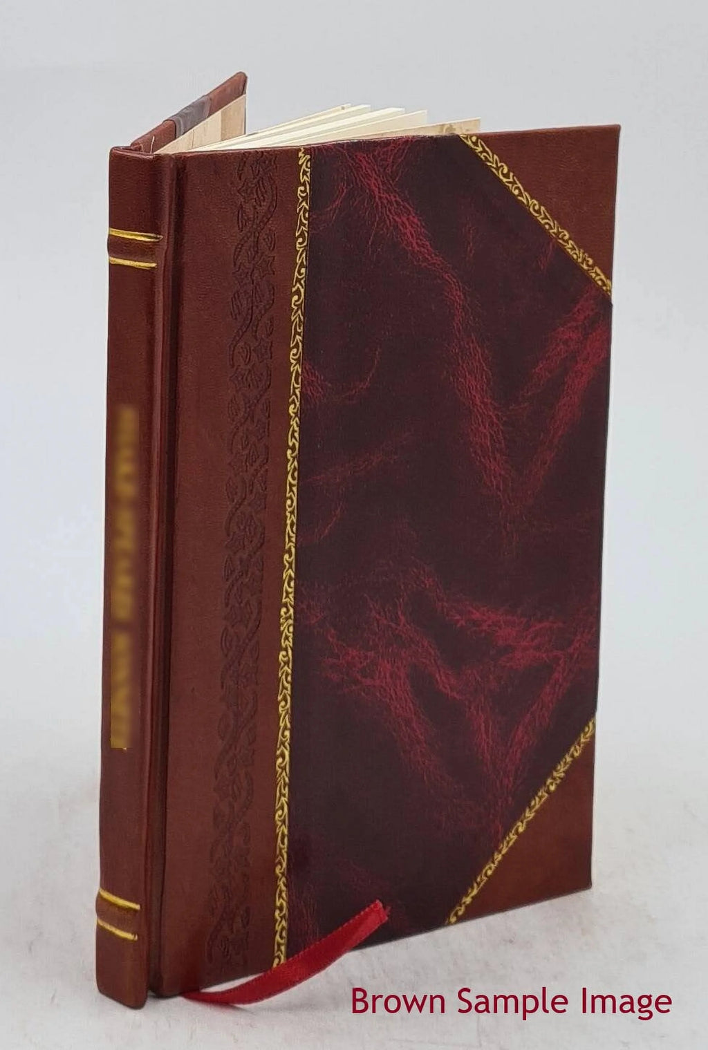 Colour-Blindness and Imperfect Eyesight Detection Leather Bound Y67894