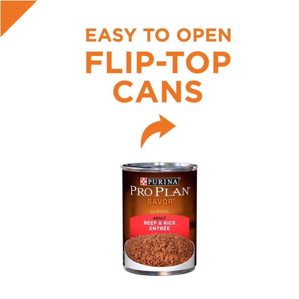 Beef & Rice Wet Dog Food Z437616