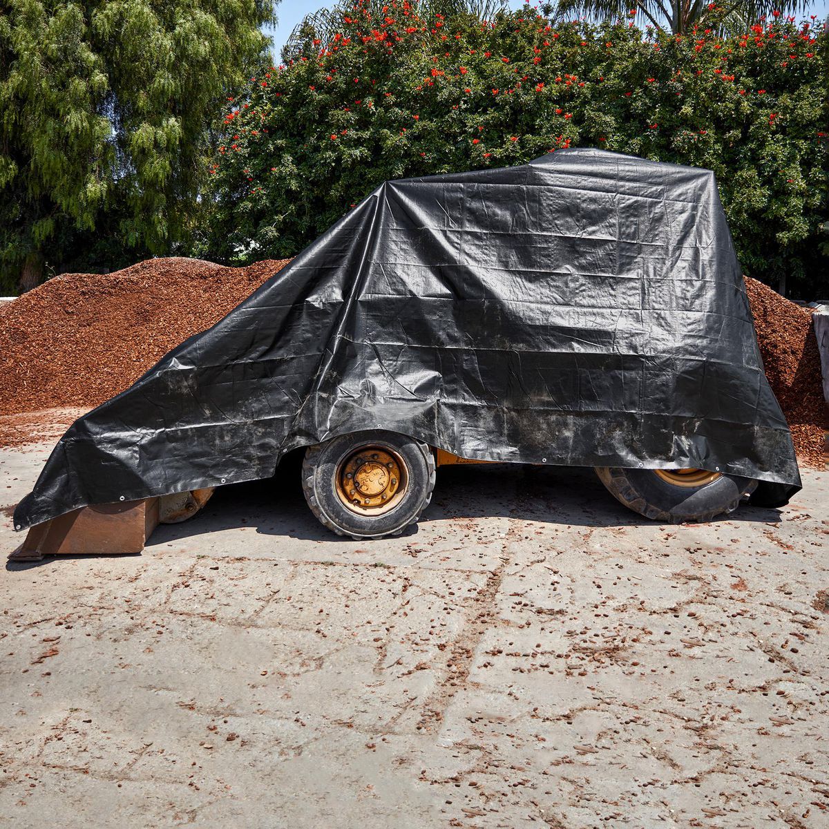 16 ft. x 20 ft. Weather-Resistant Tarp M5563