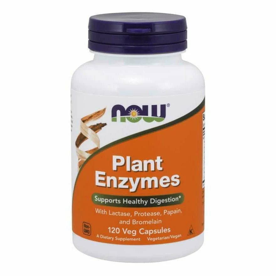 Plant Enzymes 240 vcaps X547