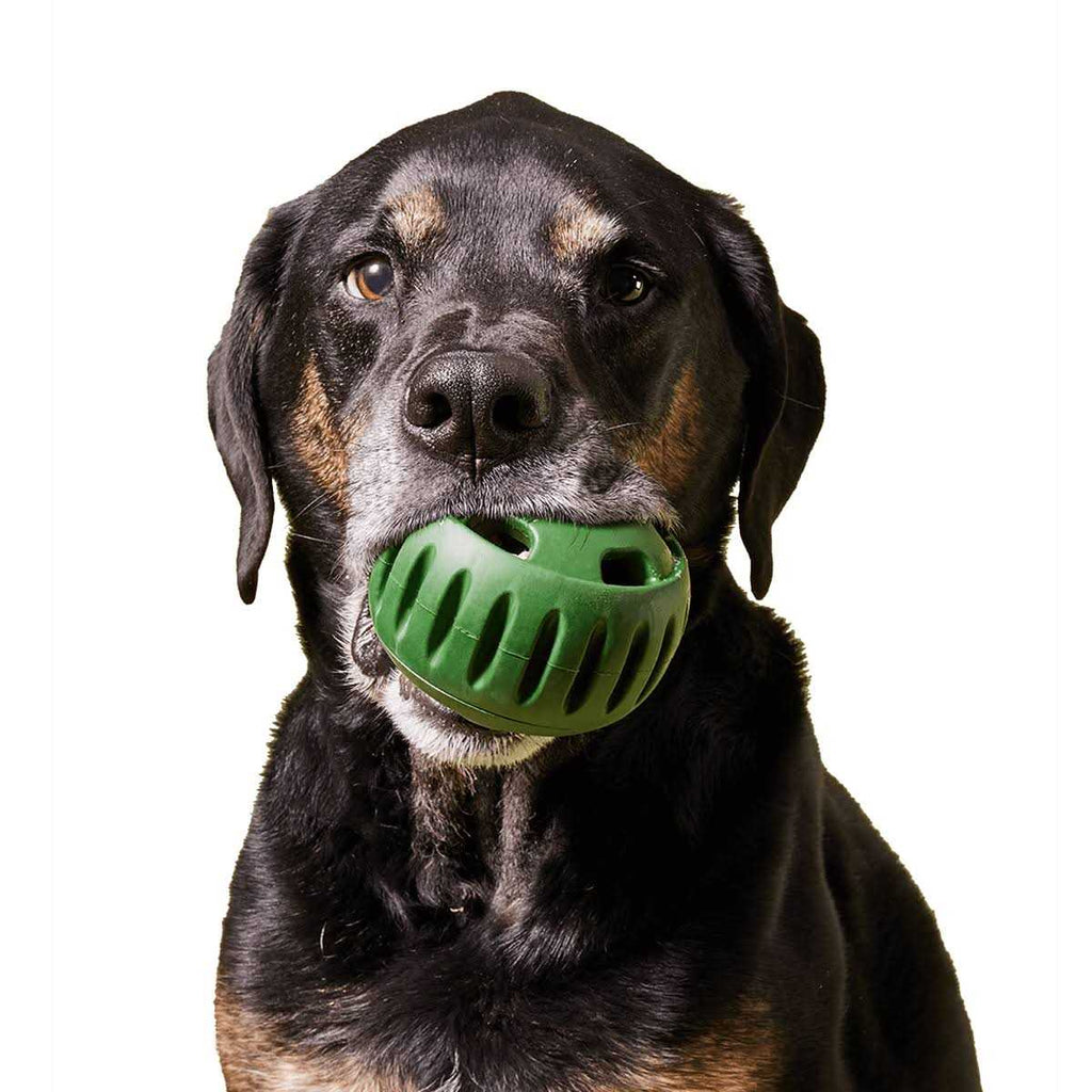 Dog Toy O6388