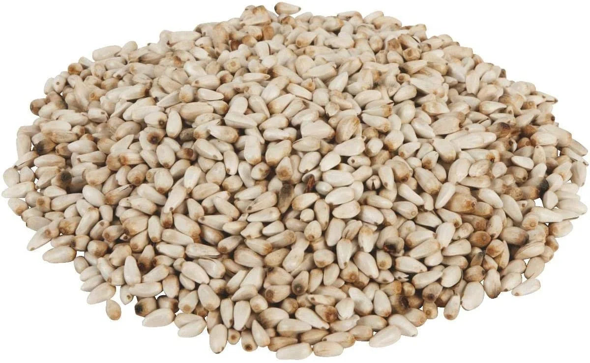 Safflower Bird Seed A609