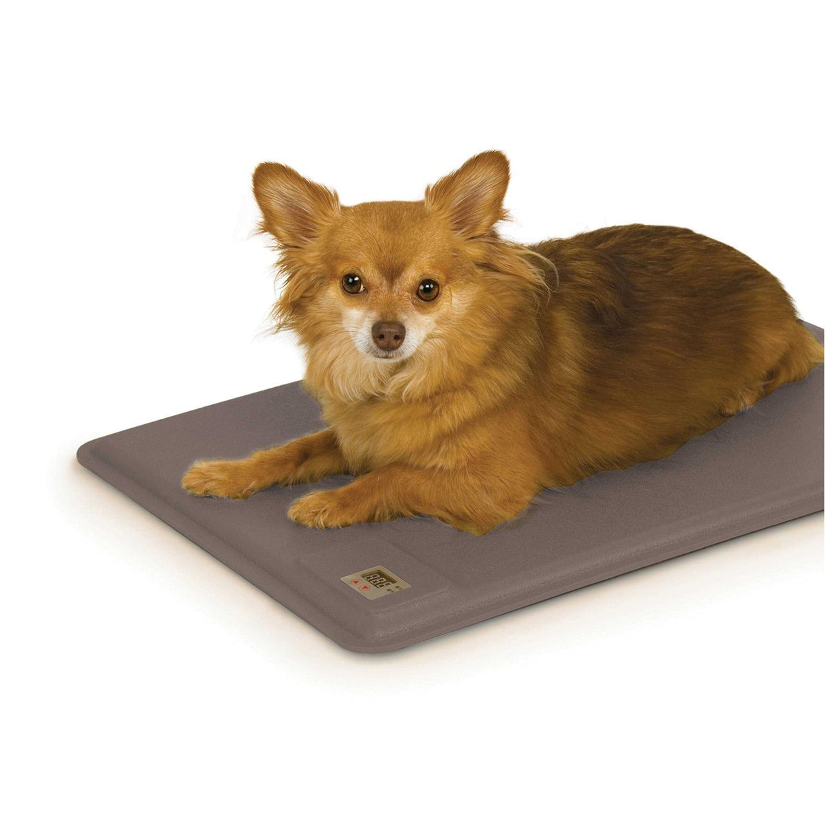 Pet Supplies B72180