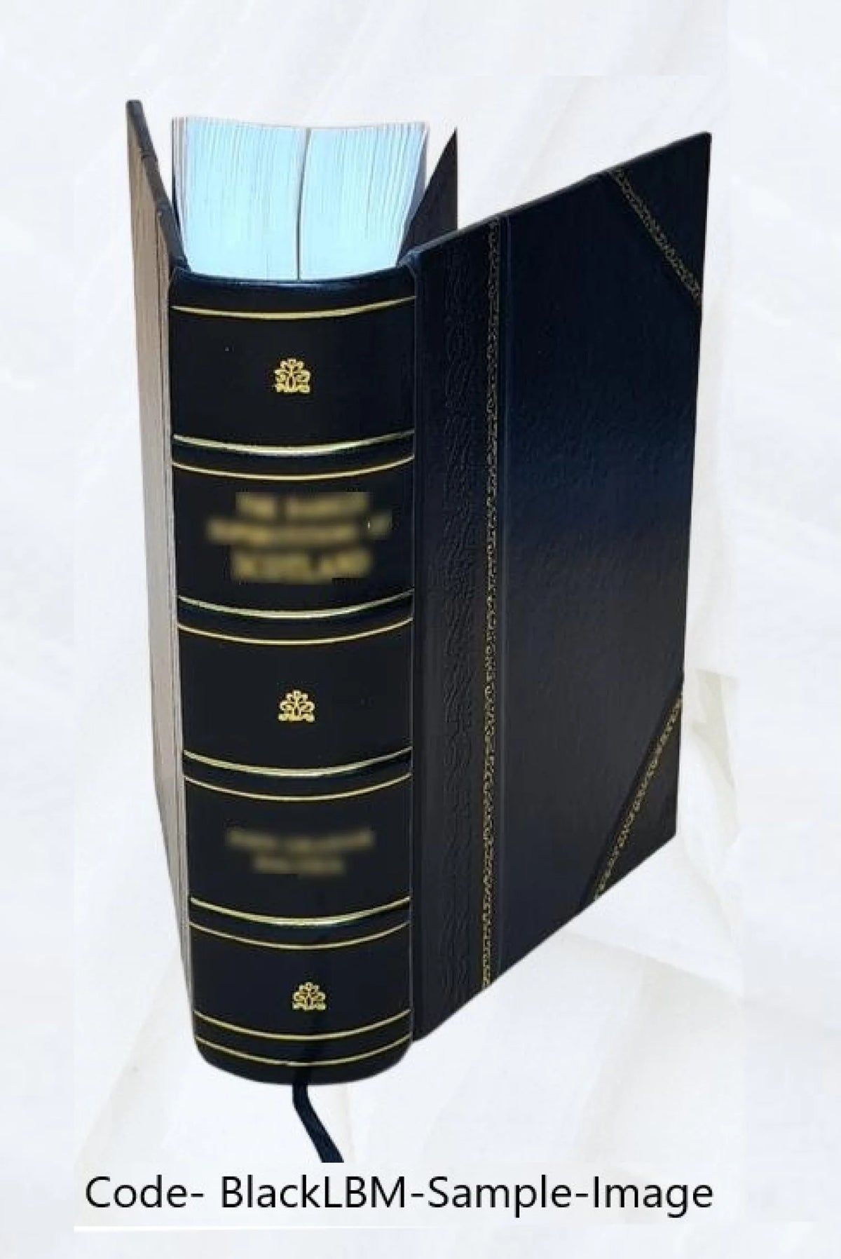 Leather Bound Book Q4391