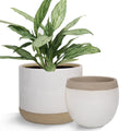 White Ceramic Flower Plant Pots C716132