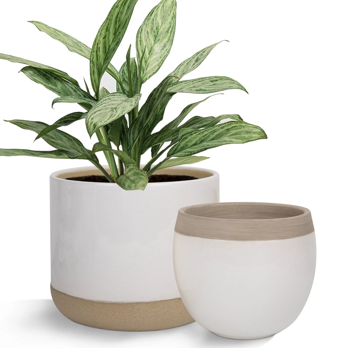 White Ceramic Flower Plant Pots C716132