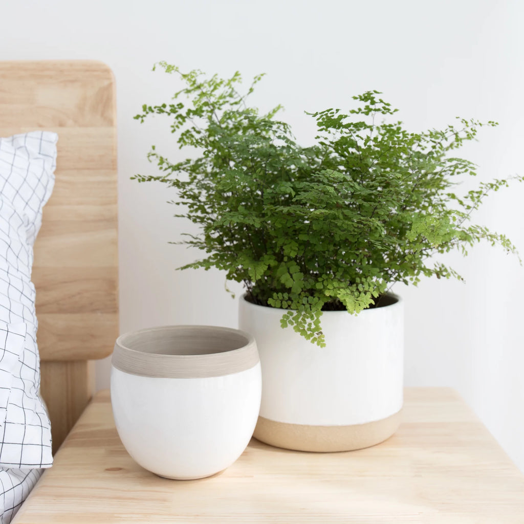 White Ceramic Flower Plant Pots C716132
