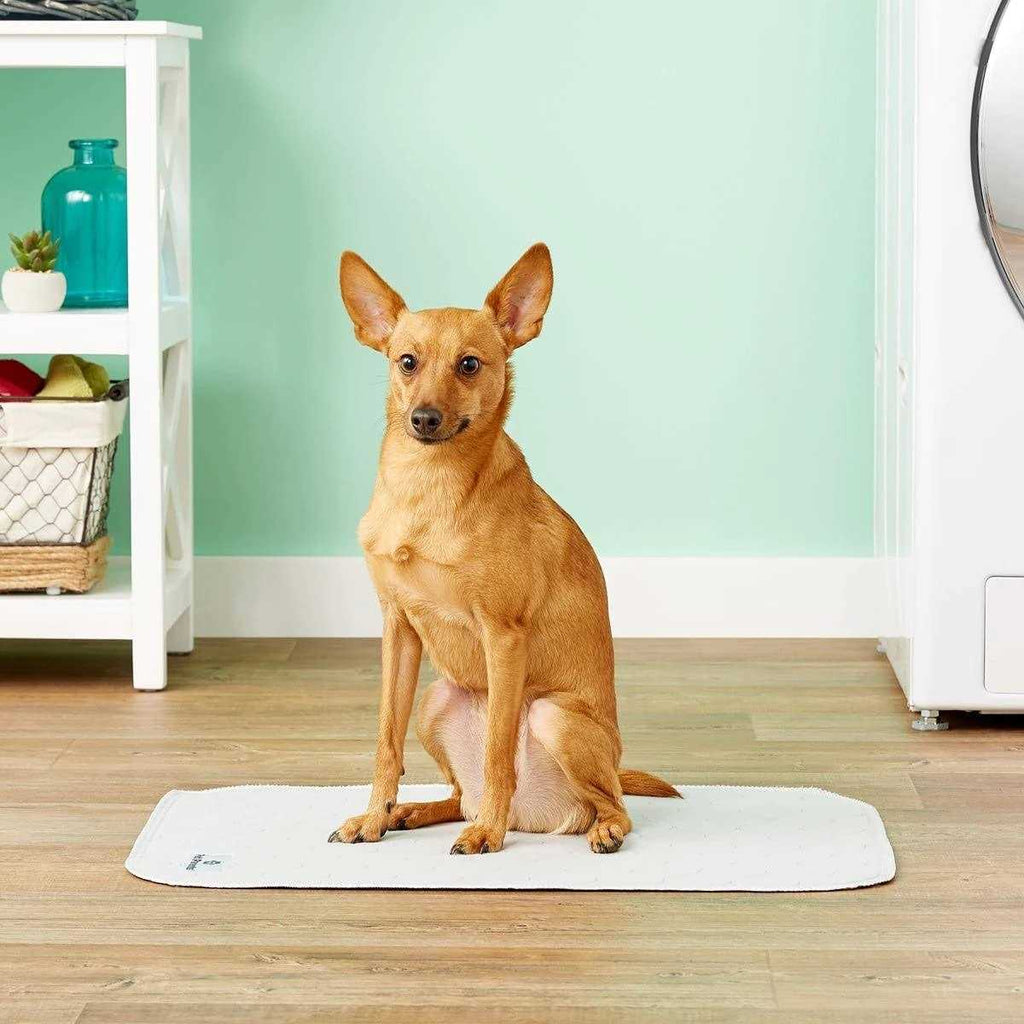 Washable Dog Pee Pads B34585
