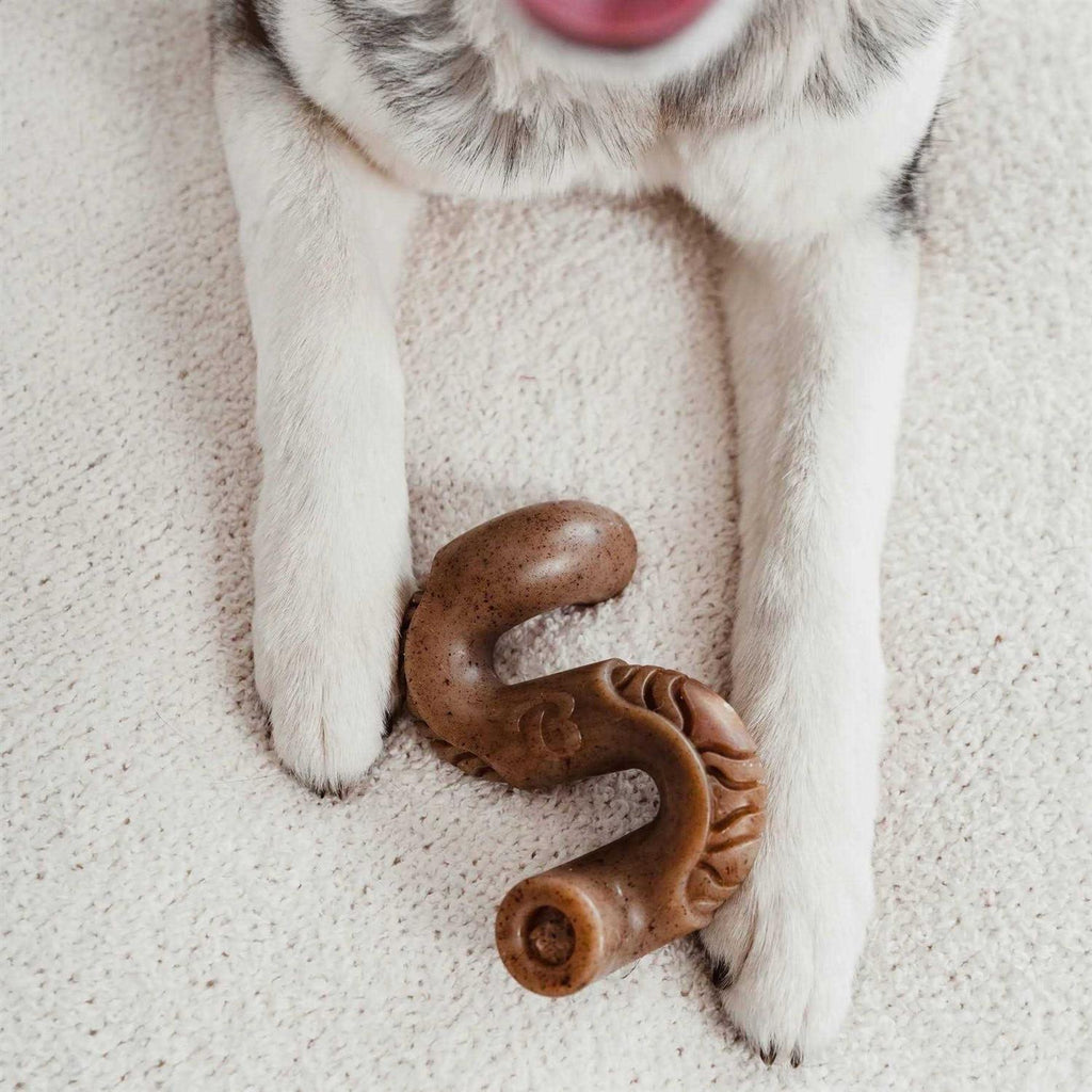 Dog Chew T108