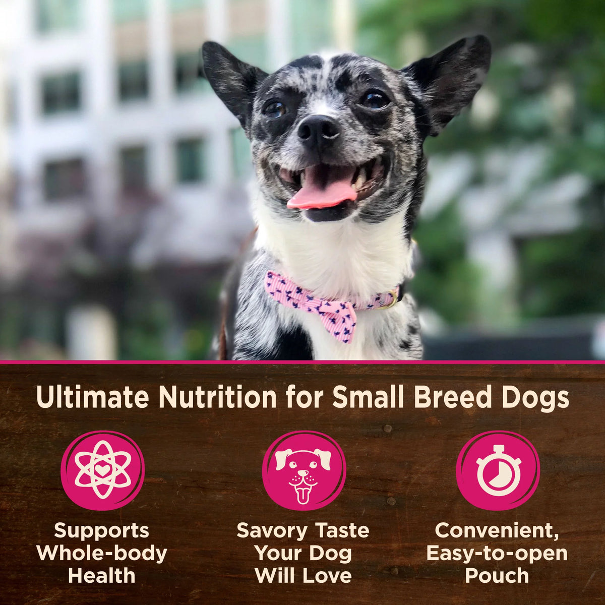 Grain Free Small Breed Wet Dog Food, Shredded Chicken & Lamb in Gravy, 3-Ounce (Pack of 12) N636