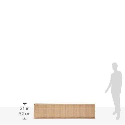 Folding Dog Ramp G976
