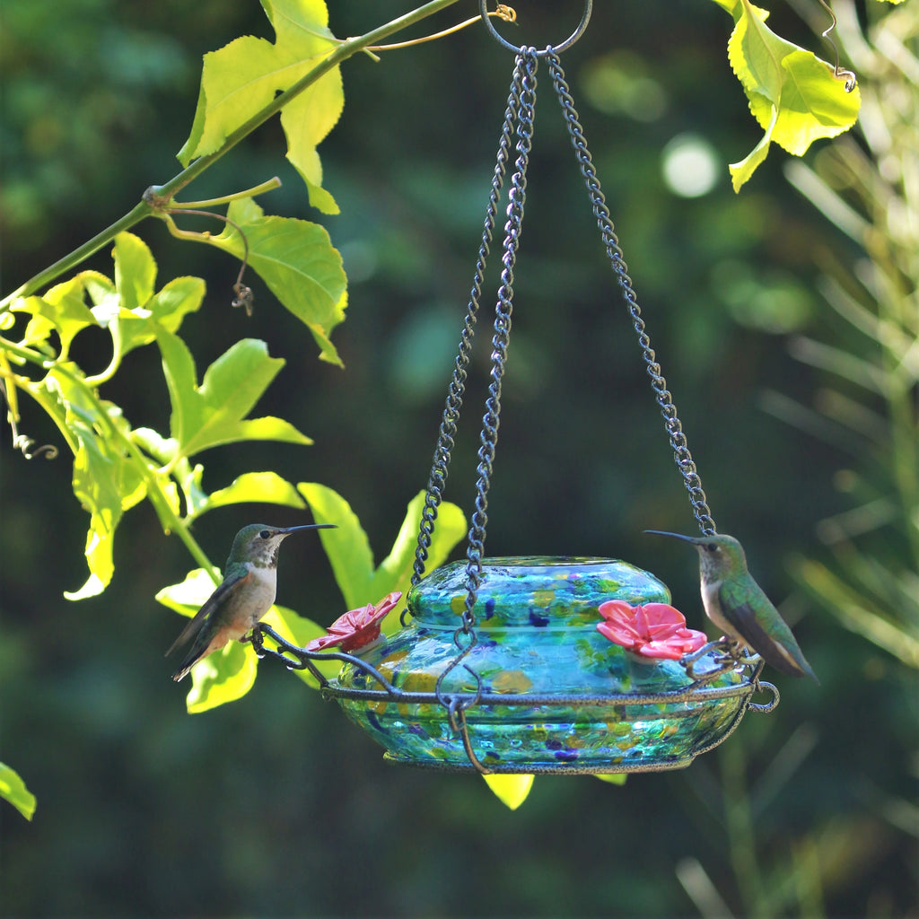 Artisan Glass Solar-Powered Hummingbird Feeder 16 oz F5686