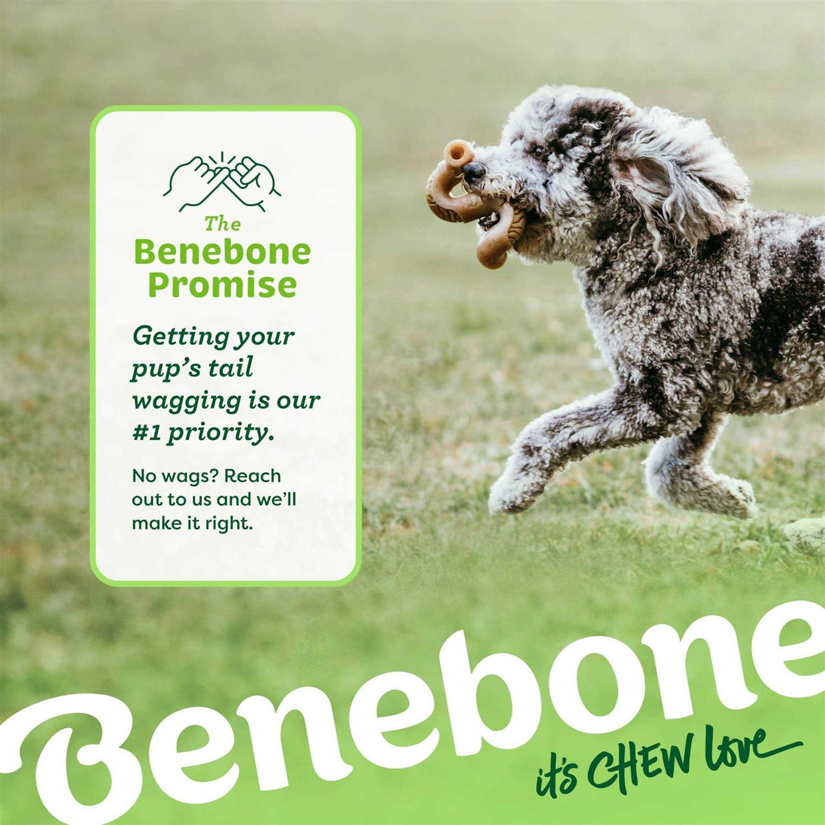 Dog Chew T108