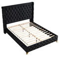 King Platform Bed with Black Velvet Upholstery W78542