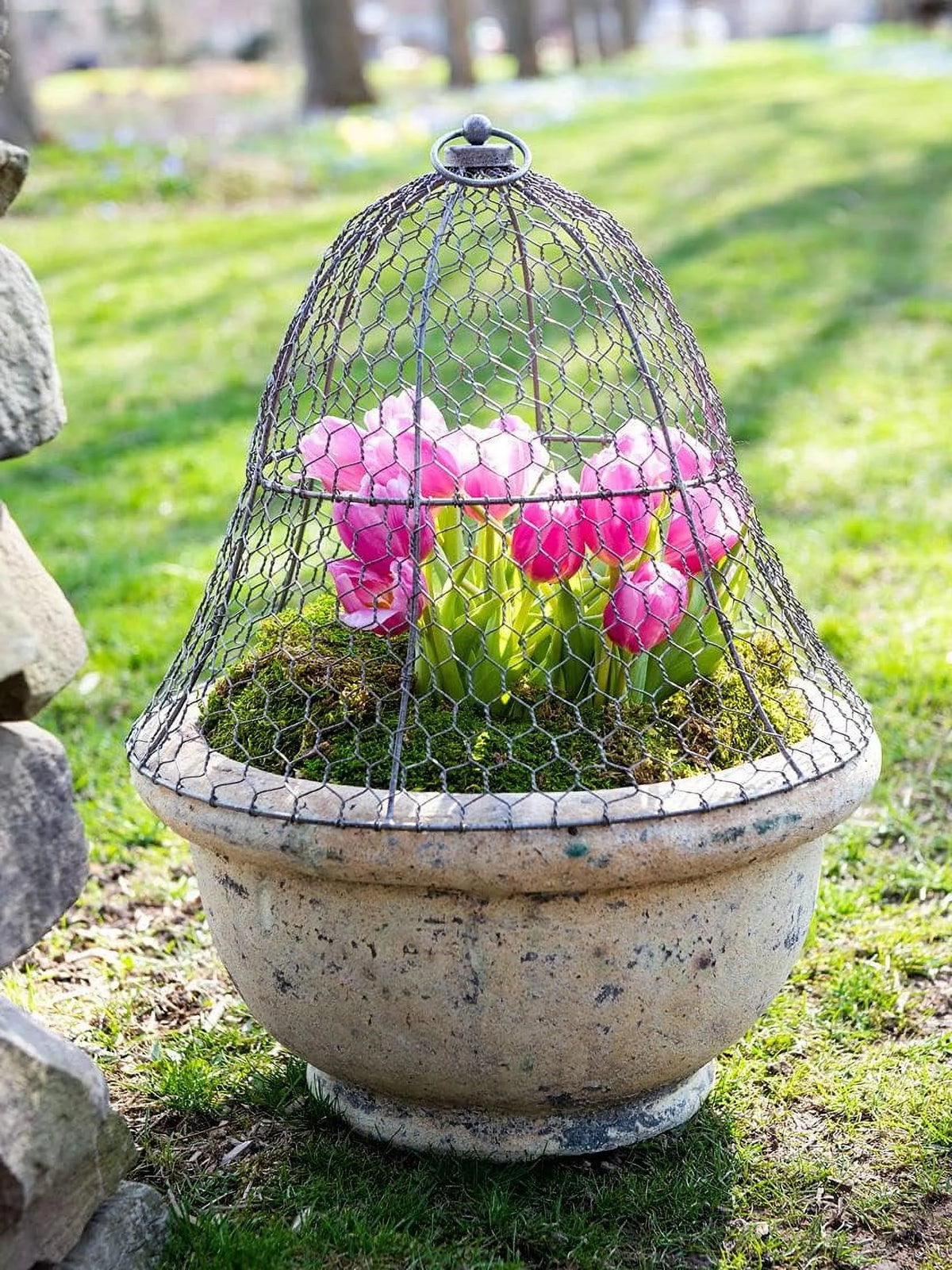 Chicken Wire Cloche Plant Protector Set of 6 X28718